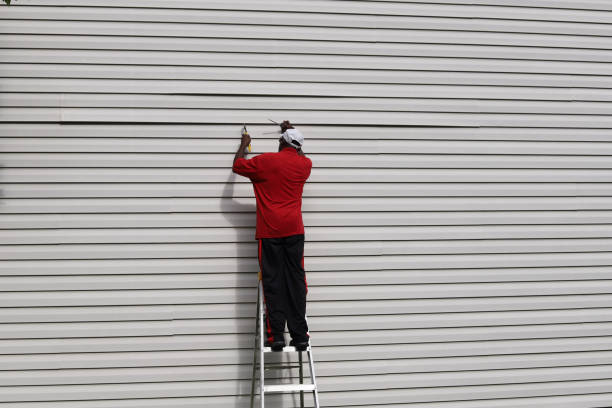 Affordable Siding Repair and Maintenance Services in Belgium, WI